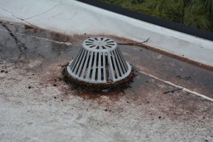 TPO-Roof-and-Drain